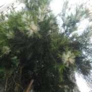 ヒメ日記 2025/06/01 22:25 投稿 かすみ 横浜おかあさん