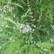 ヒメ日記 2025/06/01 22:45 投稿 かすみ 横浜おかあさん