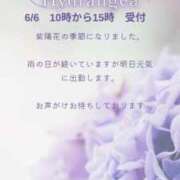 ヒメ日記 2025/06/05 19:05 投稿 かすみ 横浜おかあさん
