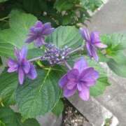 ヒメ日記 2025/06/13 02:15 投稿 かすみ 横浜おかあさん