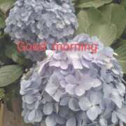 ヒメ日記 2025/06/13 06:05 投稿 かすみ 横浜おかあさん