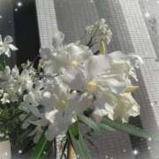 ヒメ日記 2025/06/20 23:05 投稿 かすみ 横浜おかあさん