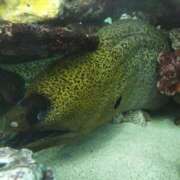 ヒメ日記 2025/07/03 08:25 投稿 かすみ 横浜おかあさん