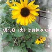 ヒメ日記 2025/07/14 00:05 投稿 かすみ 横浜おかあさん