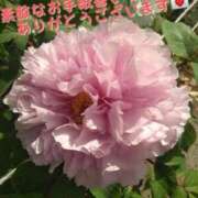 ヒメ日記 2025/07/17 10:53 投稿 かすみ 横浜おかあさん