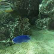 ヒメ日記 2025/07/24 00:25 投稿 かすみ 横浜おかあさん