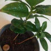 ヒメ日記 2025/07/29 11:45 投稿 かすみ 横浜おかあさん