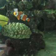 ヒメ日記 2025/07/31 18:05 投稿 かすみ 横浜おかあさん