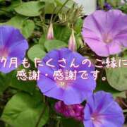ヒメ日記 2025/08/01 02:05 投稿 かすみ 横浜おかあさん