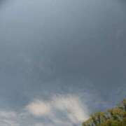 ヒメ日記 2025/08/10 00:25 投稿 かすみ 横浜おかあさん