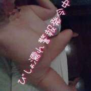 ヒメ日記 2025/08/16 06:45 投稿 かすみ 横浜おかあさん