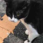 ヒメ日記 2025/10/05 23:15 投稿 かすみ 横浜おかあさん