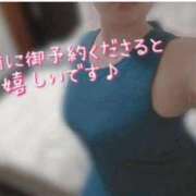 ヒメ日記 2025/10/14 06:05 投稿 かすみ 横浜おかあさん