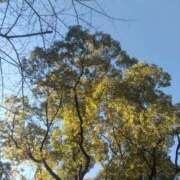 ヒメ日記 2025/12/12 14:38 投稿 かすみ 横浜おかあさん