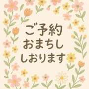 ヒメ日記 2025/12/20 10:35 投稿 かすみ 横浜おかあさん