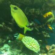 ヒメ日記 2026/01/27 01:35 投稿 かすみ 横浜おかあさん