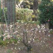 ヒメ日記 2026/02/05 21:02 投稿 かすみ 横浜おかあさん