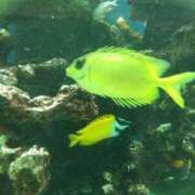 ヒメ日記 2026/02/13 17:25 投稿 かすみ 横浜おかあさん