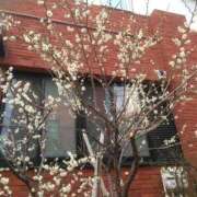 ヒメ日記 2026/02/20 17:25 投稿 かすみ 横浜おかあさん