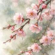 ヒメ日記 2026/02/25 21:05 投稿 かすみ 横浜おかあさん