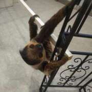 ヒメ日記 2026/03/05 18:58 投稿 かすみ 横浜おかあさん