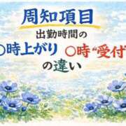 ヒメ日記 2026/03/13 13:25 投稿 かすみ 横浜おかあさん