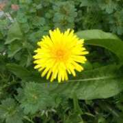 ヒメ日記 2026/04/11 20:55 投稿 かすみ 横浜おかあさん