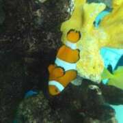 ヒメ日記 2026/04/12 19:55 投稿 かすみ 横浜おかあさん