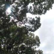 ヒメ日記 2026/05/08 12:58 投稿 かすみ 横浜おかあさん