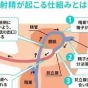 ヒメ日記 2026/07/26 00:10 投稿 かすみ 横浜おかあさん