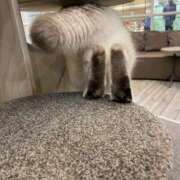 ヒメ日記 2025/03/14 14:24 投稿 遠野　由香里 エンジェルコースト