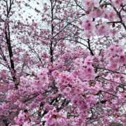 ヒメ日記 2025/04/03 22:04 投稿 遠野　由香里 エンジェルコースト