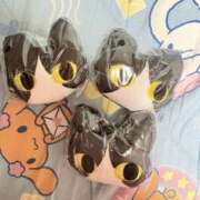 ヒメ日記 2025/04/11 05:00 投稿 遠野　由香里 エンジェルコースト