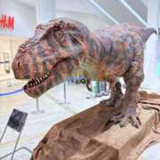 ヒメ日記 2025/05/07 11:10 投稿 遠野　由香里 エンジェルコースト