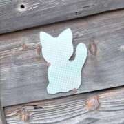 ヒメ日記 2025/05/15 19:58 投稿 遠野　由香里 エンジェルコースト