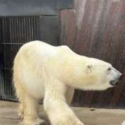 ヒメ日記 2025/10/21 14:48 投稿 遠野　由香里 エンジェルコースト