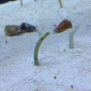 ヒメ日記 2025/11/13 15:26 投稿 遠野 由香里 エンジェルコースト