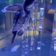 ヒメ日記 2025/11/16 18:44 投稿 遠野　由香里 エンジェルコースト