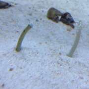 ヒメ日記 2025/11/20 16:20 投稿 遠野　由香里 エンジェルコースト