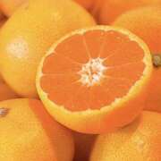 ヒメ日記 2025/11/21 07:27 投稿 遠野　由香里 エンジェルコースト