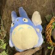 ヒメ日記 2025/11/24 12:29 投稿 遠野　由香里 エンジェルコースト