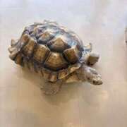 ヒメ日記 2025/11/24 19:24 投稿 遠野　由香里 エンジェルコースト