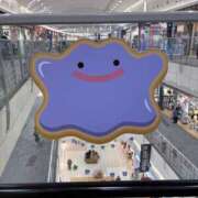 ヒメ日記 2025/11/30 11:54 投稿 遠野　由香里 エンジェルコースト