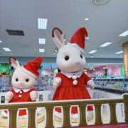 ヒメ日記 2025/11/30 20:26 投稿 遠野　由香里 エンジェルコースト