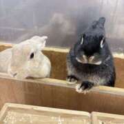 遠野　由香里 出勤しました‼️ エンジェルコースト