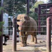 遠野　由香里 どんな服にしようかと悩み中…𓈒💭 エンジェルコースト