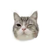 ヒメ日記 2025/12/20 09:11 投稿 遠野　由香里 エンジェルコースト