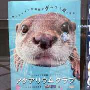 ヒメ日記 2025/12/23 12:09 投稿 遠野　由香里 エンジェルコースト