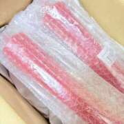 ヒメ日記 2025/12/29 09:29 投稿 遠野　由香里 エンジェルコースト