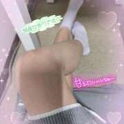 ヒメ日記 2025/05/19 08:38 投稿 なのは 奴隷コレクション梅田店